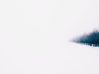 Scenic view of snow covered landscape