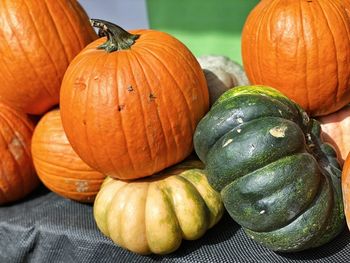 Close-up of pumpkins in market