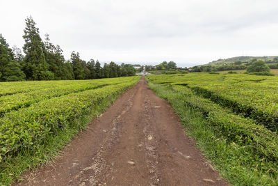 Dirt road amidst field against sky