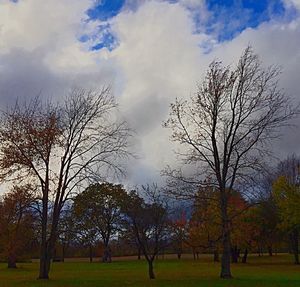 Bare trees on landscape against cloudy sky