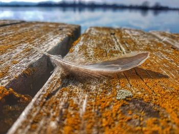 Close-up of sand at beach