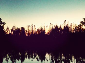 Scenic view of trees against clear sky at sunset