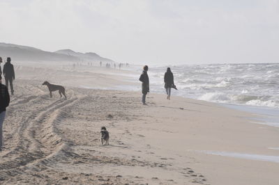 People on beach against sky