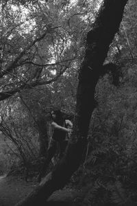 Man standing by bare tree in forest