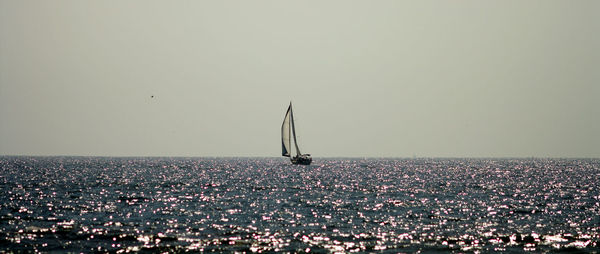 Silhouette of people by sea against clear sky