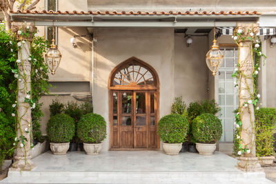 Potted plants outside building