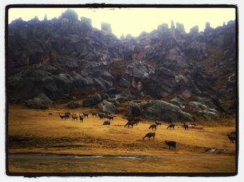 Rock formations on landscape