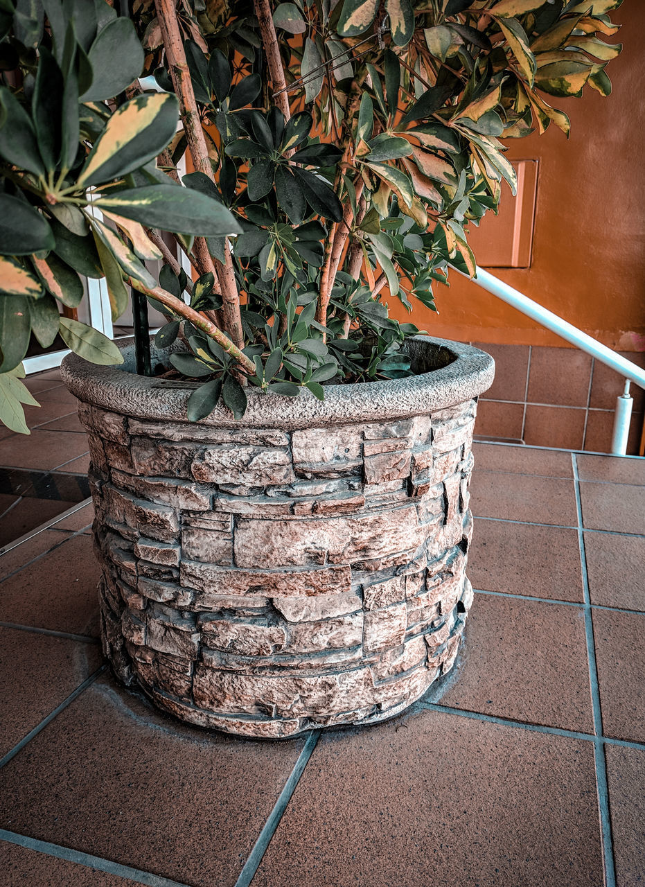 HIGH ANGLE VIEW OF POTTED PLANT AGAINST WALL