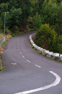 Road amidst trees and plants in city