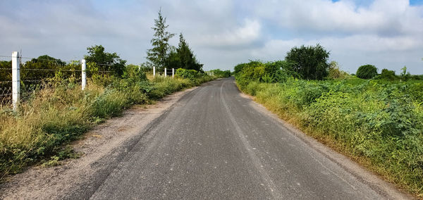 Road amidst trees against sky