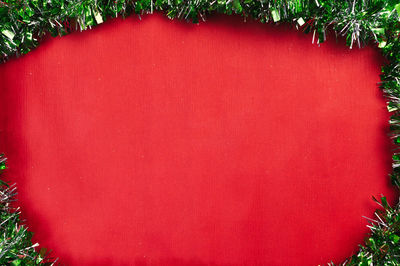 Close-up of red ivy on wall