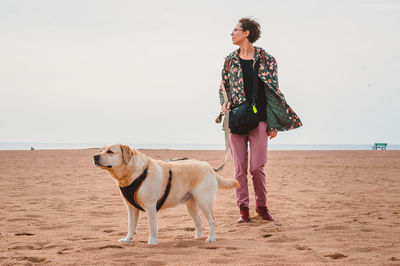 A girl and a fawn labrador retriever walk on a sandy beach. traveling with a dog on the sea