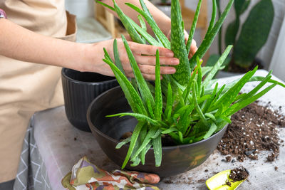 Midsection of man planting potted plant