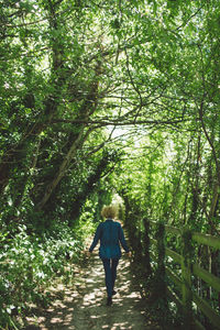 Rear view of man walking in forest