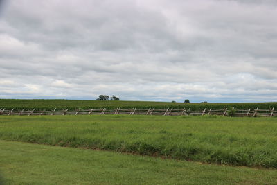 Scenic view of grassy field against sky