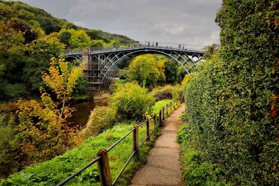 Scenic view of bridge amidst plants against sky