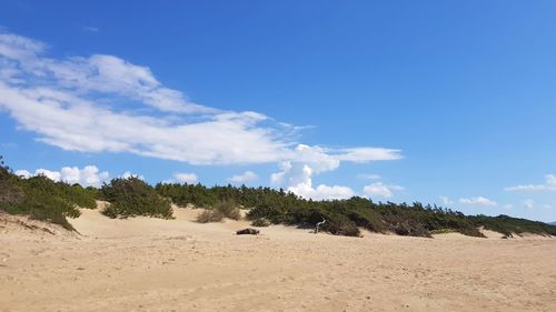 Panoramic view of desert against sky