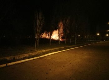 Road by trees at night