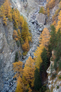 High angle shot of rocky chine in valley