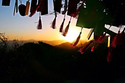 View of trees at sunset