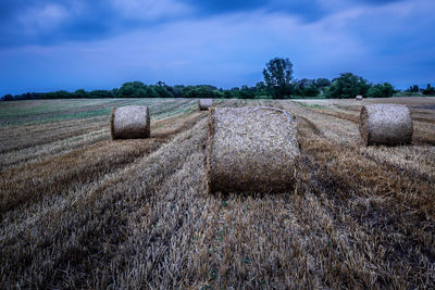 Hay bales on field against sky