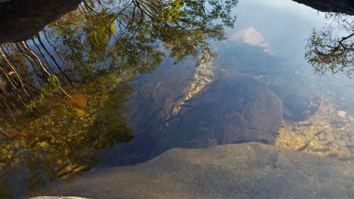 Scenic view of tree mountains