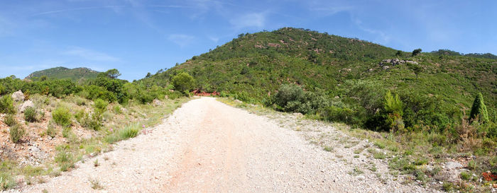 Road amidst plants against sky