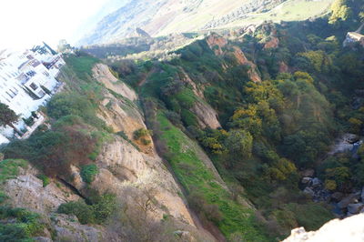 High angle view of trees and buildings