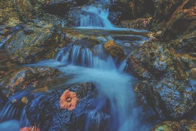 Scenic view of waterfall