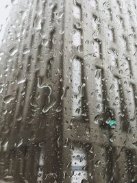 Close-up of water drops on window