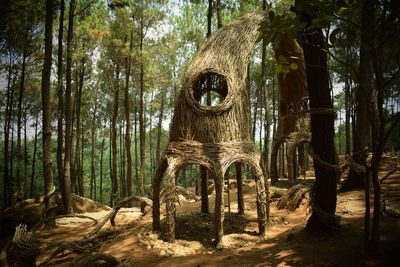 Trees growing in forest