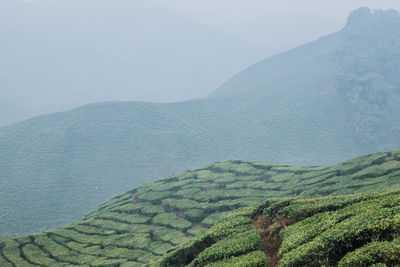 Scenic view of mountains against clear sky