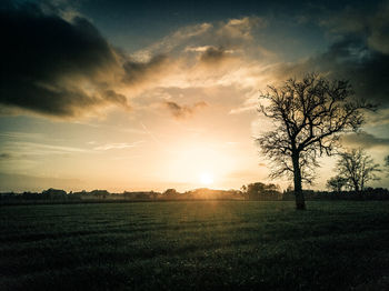 Scenic view of field against sky during sunset