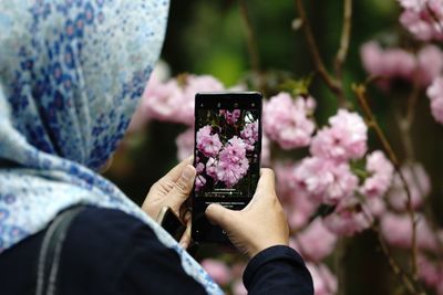 Close-up of woman photographing pink flowers with mobile phone