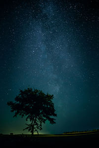 Silhouette tree against star field at night