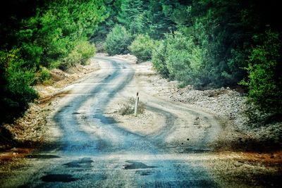 Road amidst trees in forest