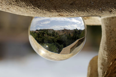 Close-up of reflection of trees against sky