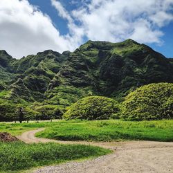 Scenic view of green landscape against sky