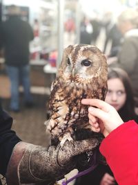 Cropped hands with owl