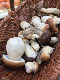 High angle view of mushrooms in basket