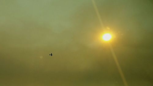 Low angle view of sun flying in sky