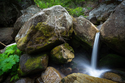 Scenic view of waterfall in forest