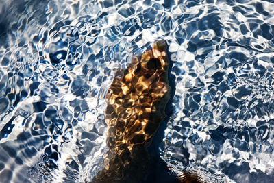 Low section of person in pool