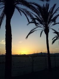 Silhouette palm tree at beach against sky during sunset