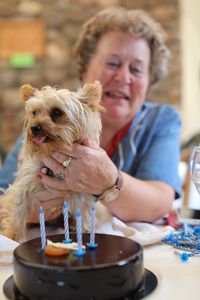 Smiling woman with dog by cake on table
