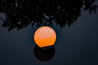 Close-up of water drops on orange tree