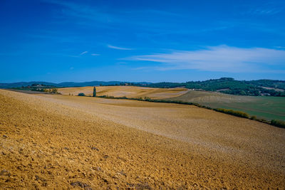 Scenic view of agricultural field against blue sky