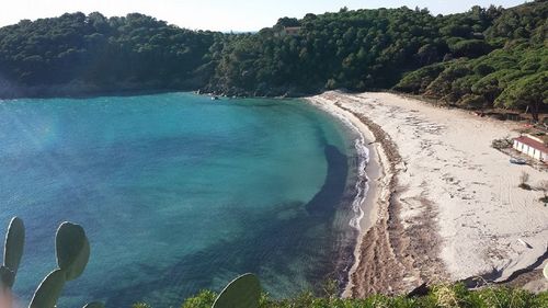 Scenic view of calm sea against sky