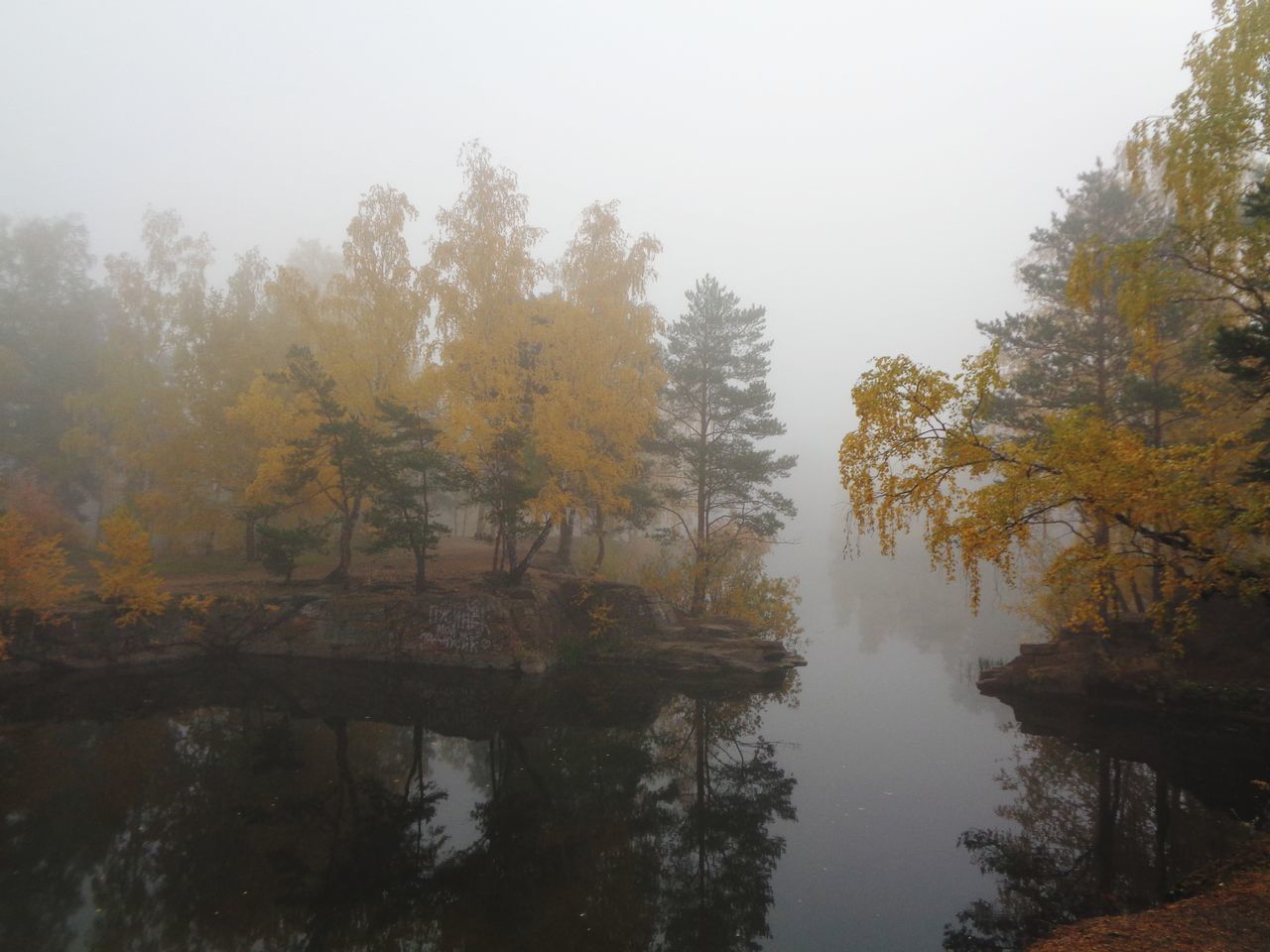 TREES BY LAKE DURING AUTUMN