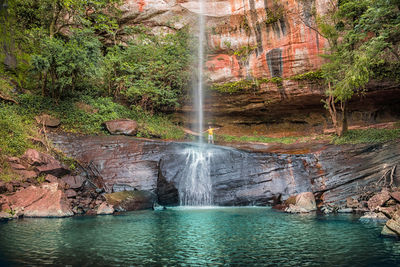 Scenic view of waterfall in forest